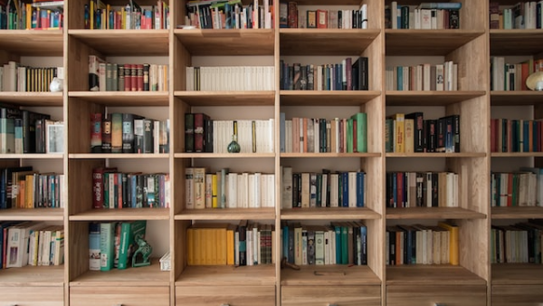 13 Books Every Sustainability Leader Needs on their Bookshelf